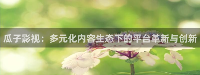 69视频色：瓜子影视：多元化内容生态下的平台革新与创新
