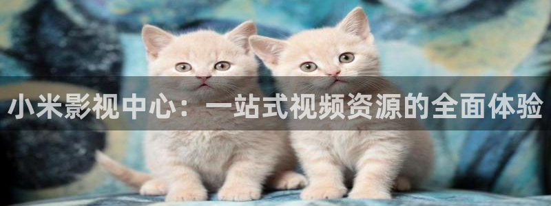 69视频性：小米影视中心：一站式视频资源的全面体验
